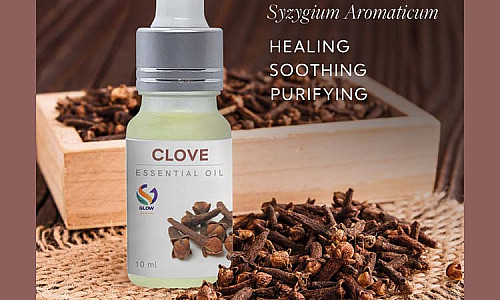 Clove Oil for Magical Pain Relief and Much More