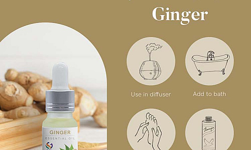 Ginger Oil