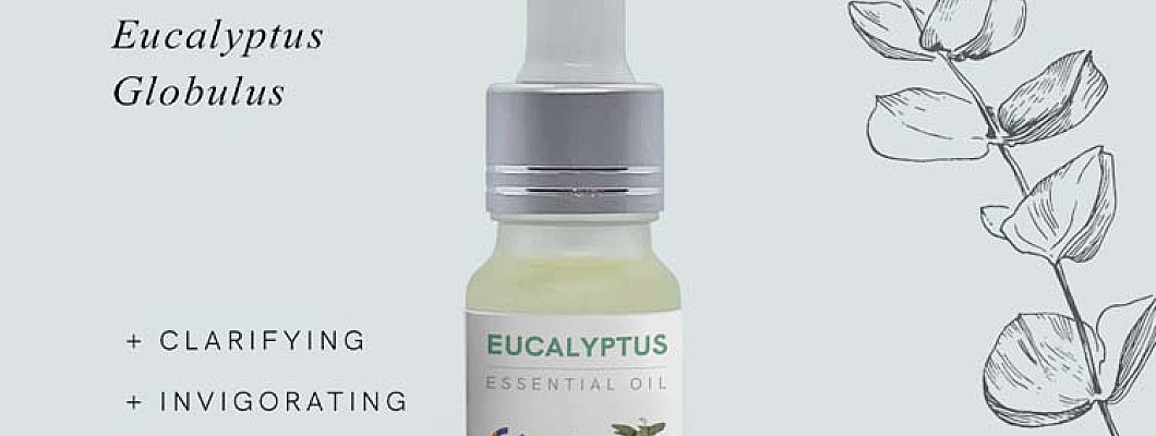 Lesser Known Amazing Eucalyptus Oil Benefits
