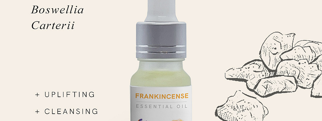 Sacred Frankincense Essential Oil