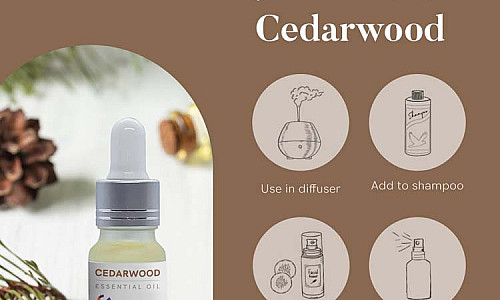 The Incredible Benefits of Cedarwood Essential Oil