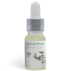 Eucalyptus Essential Oil 