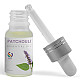 Patchouli Essential Oil